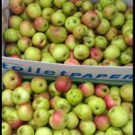 Apfel