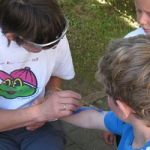 Img 5006