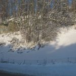 Img 4563
