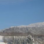 Img 4568