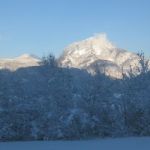 Img 4570