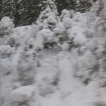 Img 4571