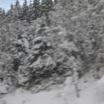 Img 4573