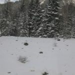 Img 4578