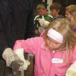 Img 4924