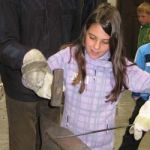 Img 4926
