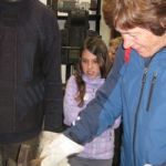Img 4927