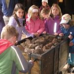 Img 4941