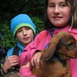 Img 4942