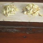 Img 4947