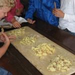Img 4949