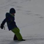 Dsc03531