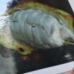Dsc03831