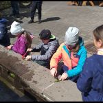 20210528 104906 20210528 104906