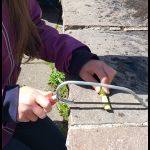 20210528 105343 20210528 105343