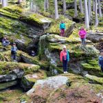 20210503 115218 20210503 115218