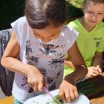 Hochbeet Biosphäre 10