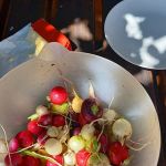 Hochbeet Biosphäre 11