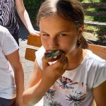 Hochbeet Biosphäre 17