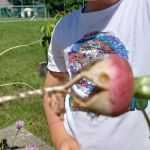 Hochbeet Biosphäre 5
